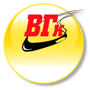 ООО «ВГ Консалт»